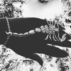 Scorpion Bracelet  and Ring